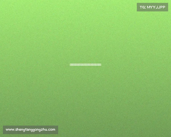 大型赛事筹备全流程优化策略研究与实践经验总结